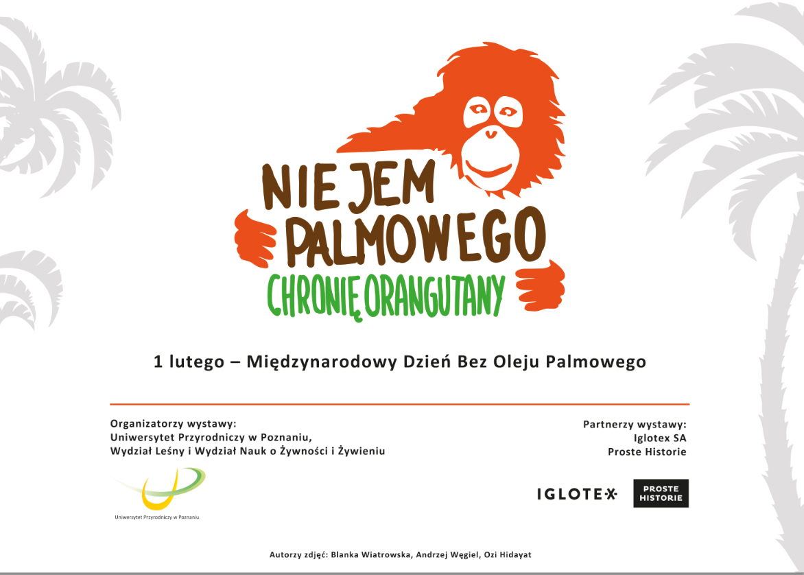 Proste Historie na Międzynarodowym Dniu Bez Oleju Palmowego 2020 w Poznaniu