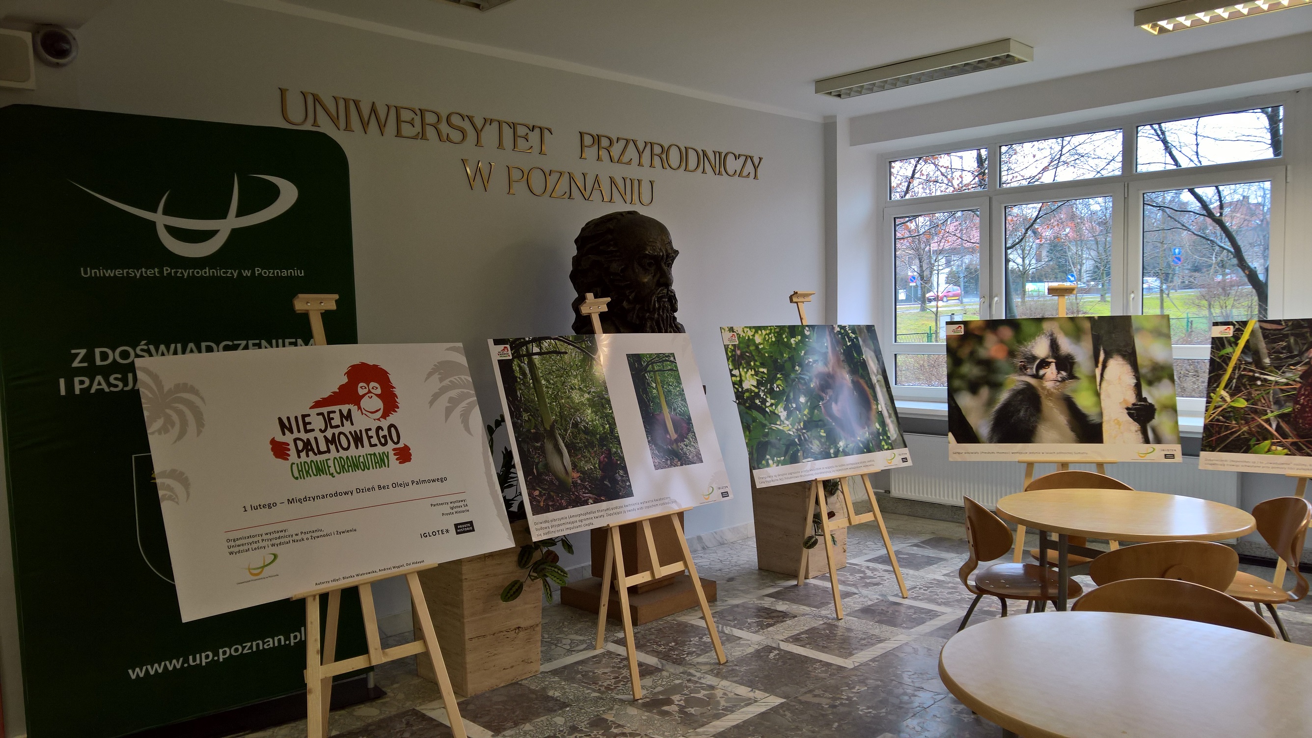 Proste Historie na Międzynarodowym Dniu Bez Oleju Palmowego 2020 w Poznaniu